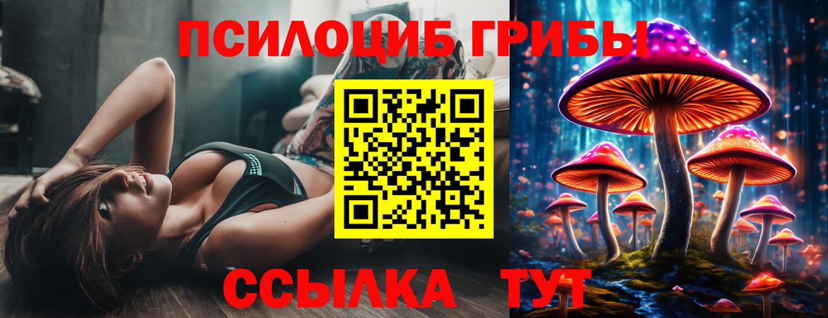 Тимашёвск  Галлюциногенные грибы ЛСД  Вход с VPN  Галлюциногенные грибы Cubensis 